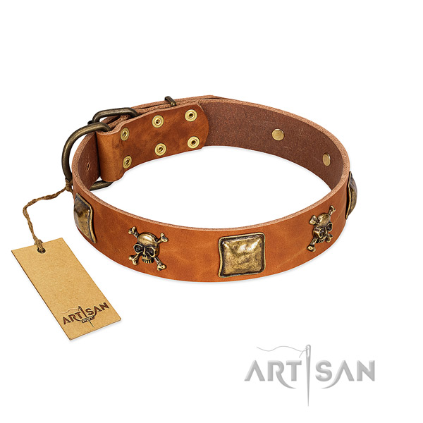 Significant leather dog collar with corrosion resistant adornments