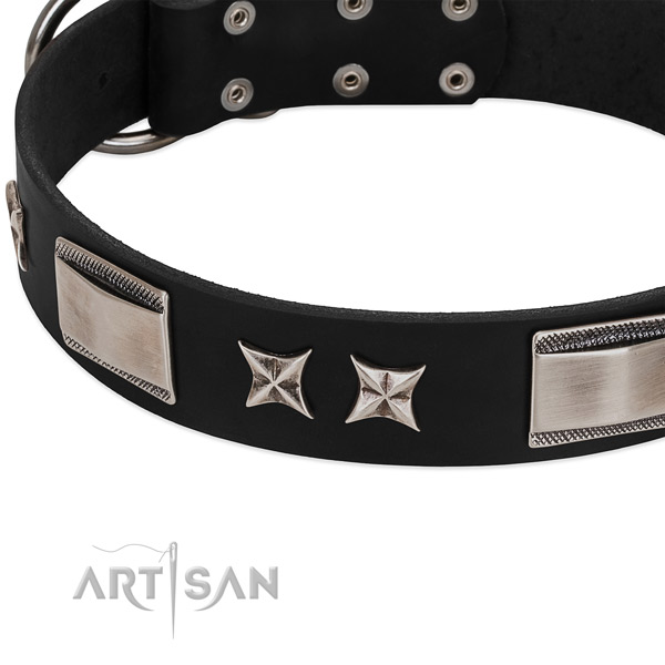 Top notch leather dog collar with rust-proof fittings