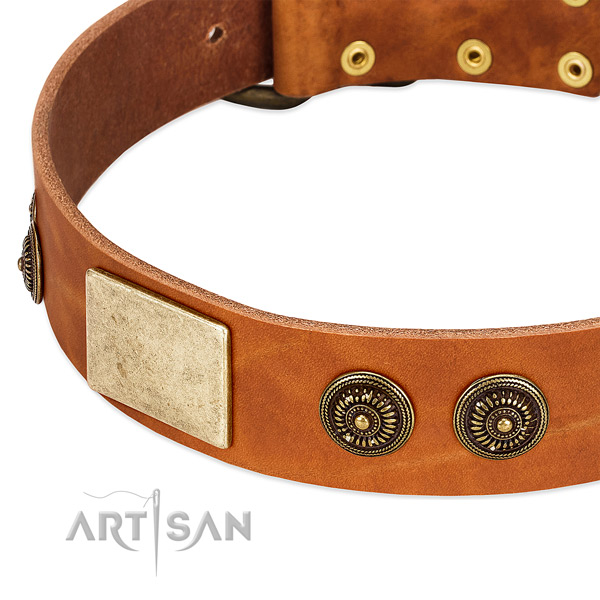 Exquisite dog collar created for your impressive doggie