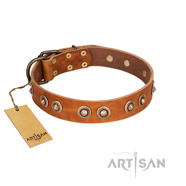 Rust resistant adornments on genuine leather dog collar for your pet