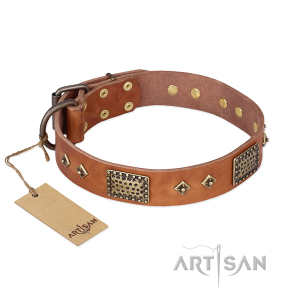 Convenient full grain leather dog collar for stylish walking