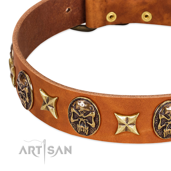 Corrosion resistant studs on natural genuine leather dog collar for your four-legged friend