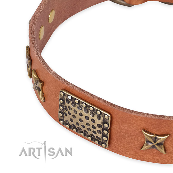 Full grain genuine leather collar with rust resistant traditional buckle for your attractive doggie