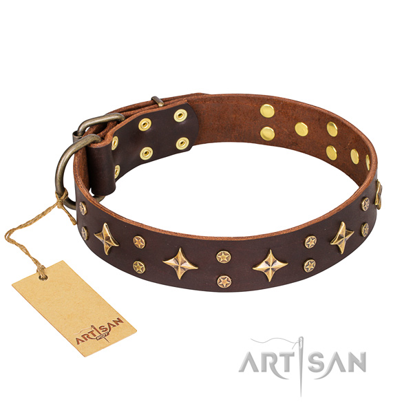 Walking dog collar of top quality full grain natural leather with decorations