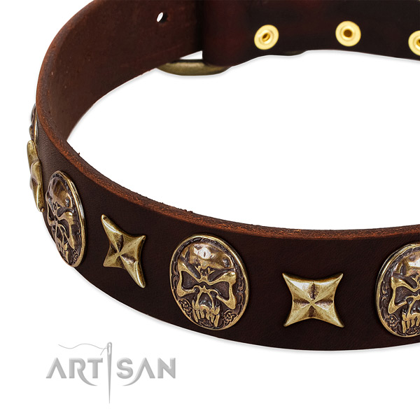 Rust resistant embellishments on full grain natural leather dog collar for your pet