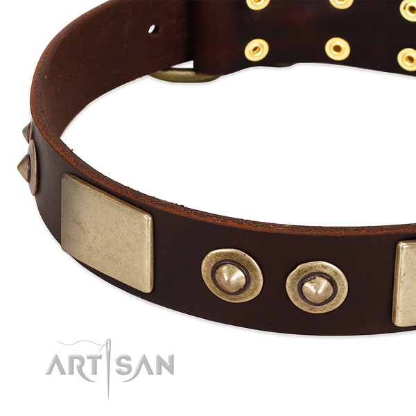 Rust-proof traditional buckle on full grain natural leather dog collar for your doggie