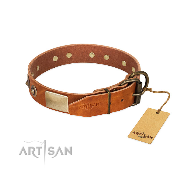 Rust-proof buckle on walking dog collar