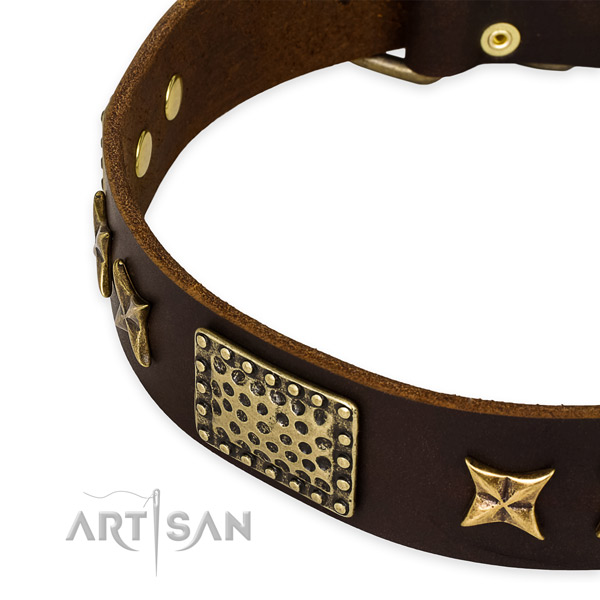 Full grain leather collar with corrosion proof D-ring for your handsome canine