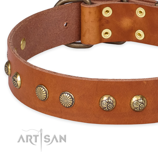 Full grain natural leather collar with rust-proof D-ring for your lovely canine