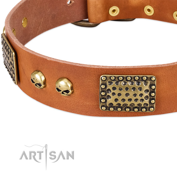 Corrosion proof fittings on full grain natural leather dog collar for your dog