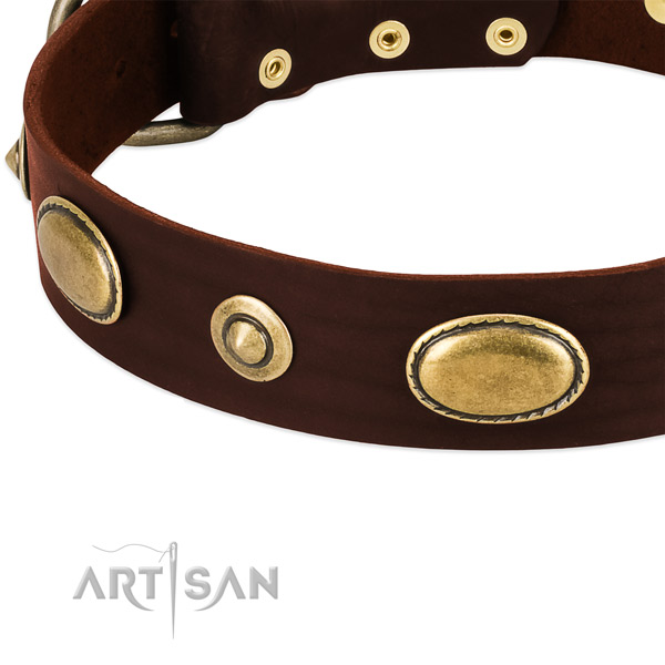 Strong studs on full grain natural leather dog collar for your dog