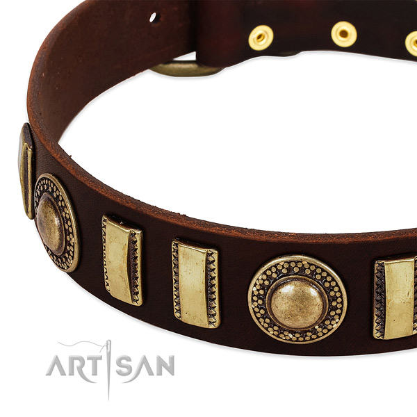 Flexible full grain natural leather dog collar with corrosion proof fittings