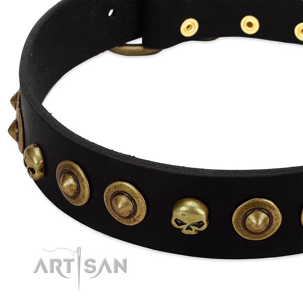 Full grain leather dog collar with amazing studs