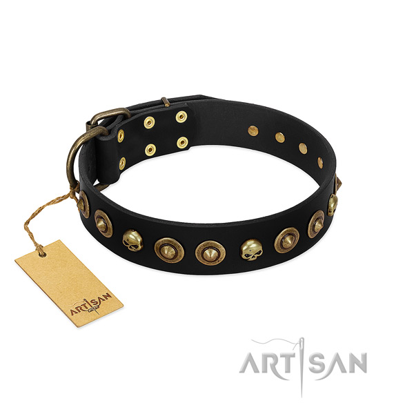 Leather collar with stylish decorations for your four-legged friend