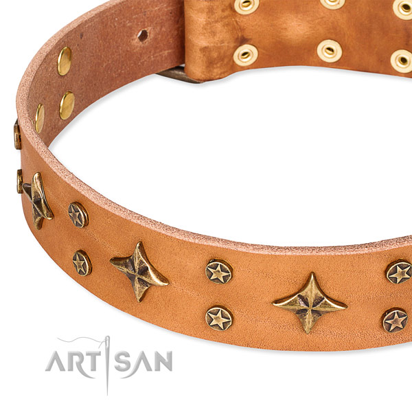 Comfortable wearing adorned dog collar of top quality natural leather