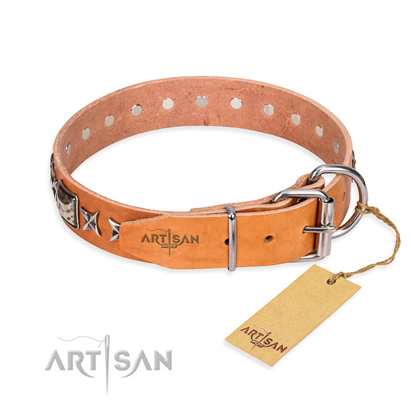 High quality decorated dog collar of full grain leather