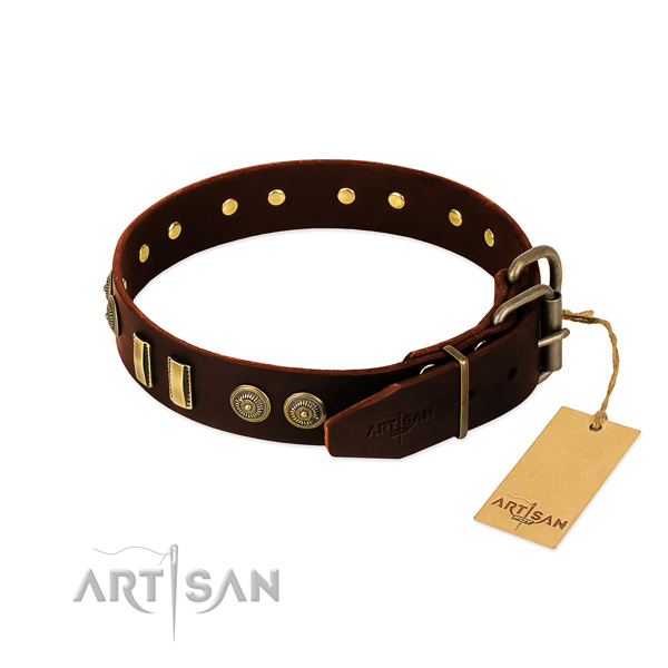 Reliable adornments on full grain leather dog collar for your pet