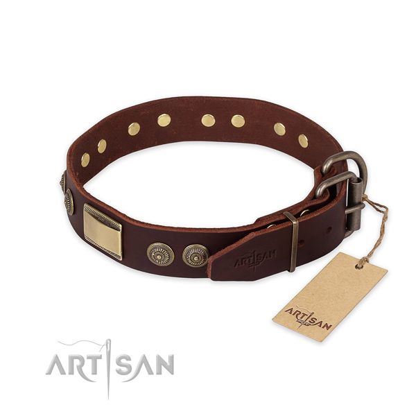 Rust-proof buckle on leather collar for daily walking your canine