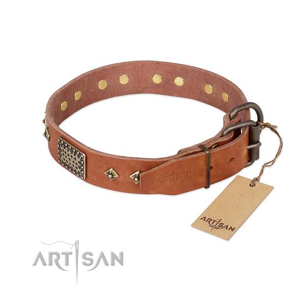 Leather dog collar with corrosion resistant hardware and adornments