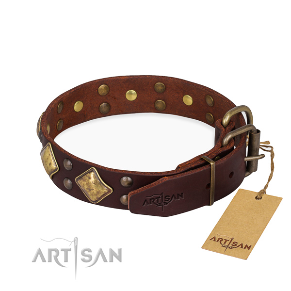 Full grain leather dog collar with designer corrosion resistant decorations