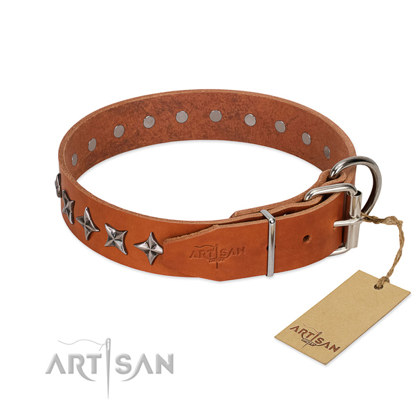 Stylish walking embellished dog collar of top notch leather