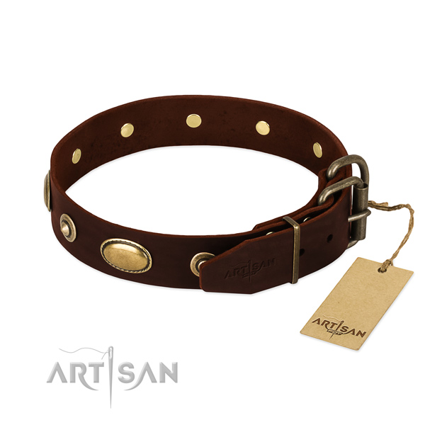 Rust-proof adornments on leather dog collar for your pet