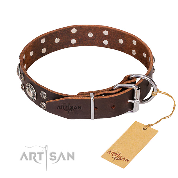 Fancy walking embellished dog collar of finest quality genuine leather