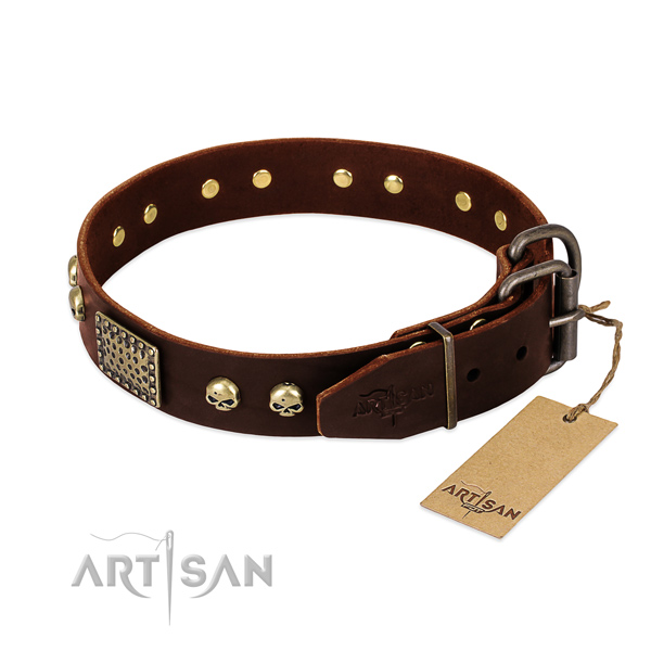 Reliable hardware on basic training dog collar