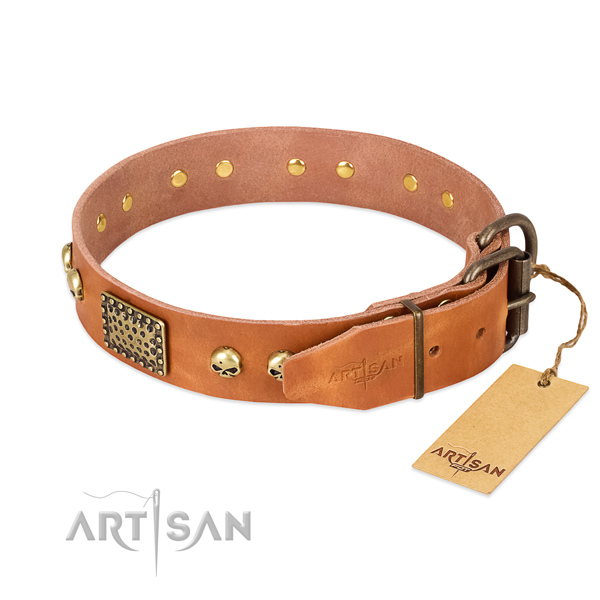 Rust-proof D-ring on stylish walking dog collar