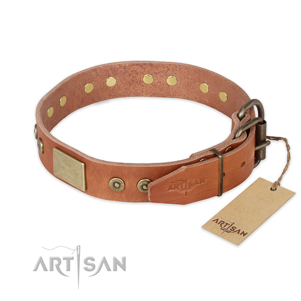 Reliable D-ring on full grain natural leather collar for walking your doggie