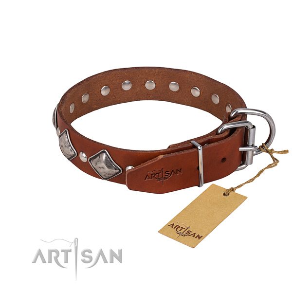 Walking decorated dog collar of strong full grain natural leather