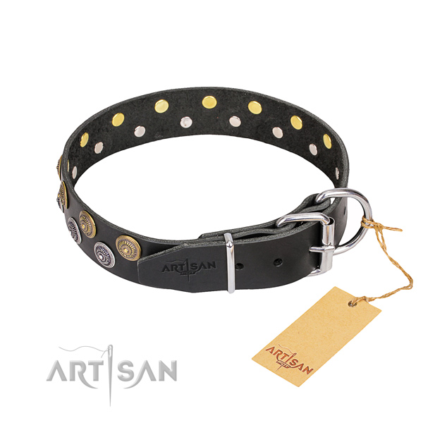 Fancy walking studded dog collar of fine quality genuine leather