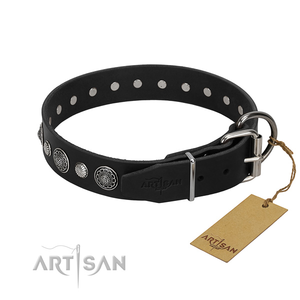 Best quality full grain natural leather dog collar with unusual embellishments