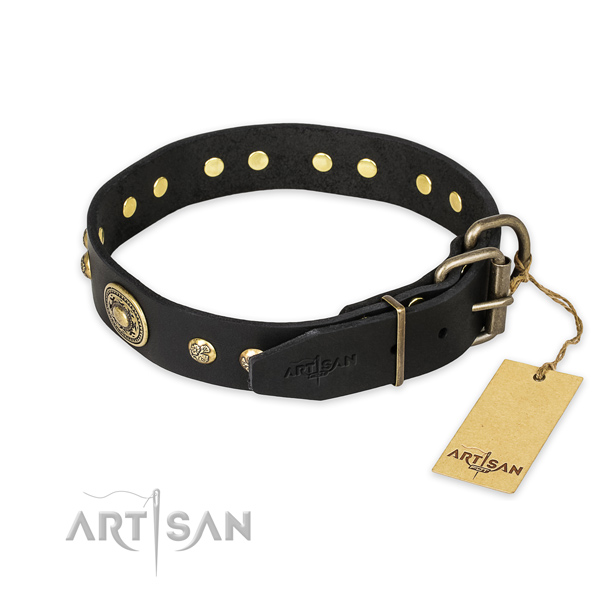 Durable D-ring on full grain leather collar for fancy walking your canine