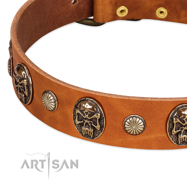 Strong studs on full grain natural leather dog collar for your doggie