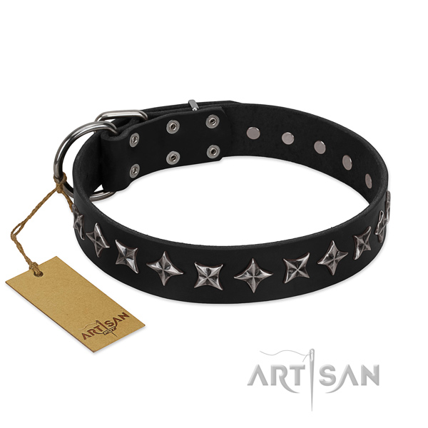 Daily use dog collar of durable leather with embellishments