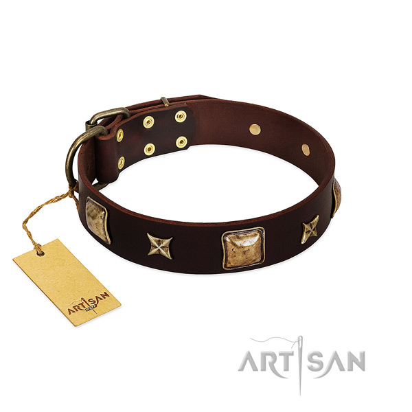 Embellished leather collar for your dog