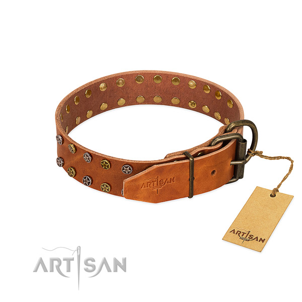 Comfortable wearing full grain genuine leather dog collar with remarkable adornments