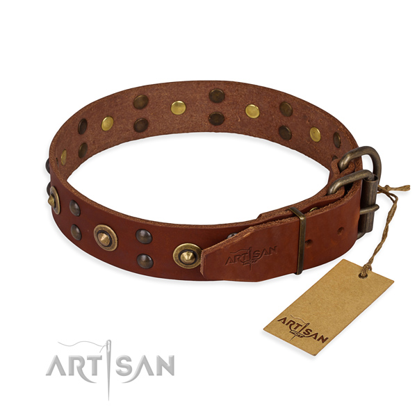 Corrosion resistant fittings on leather collar for your beautiful four-legged friend