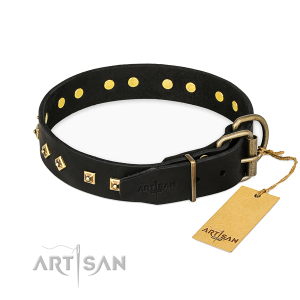 Rust-proof traditional buckle on leather collar for stylish walking your canine