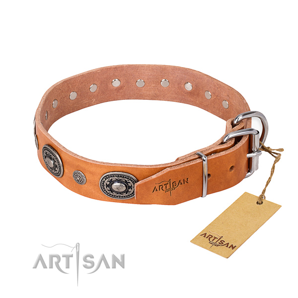 High quality full grain natural leather dog collar made for walking