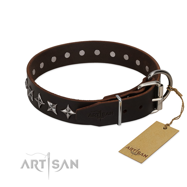 Everyday use embellished dog collar of finest quality leather