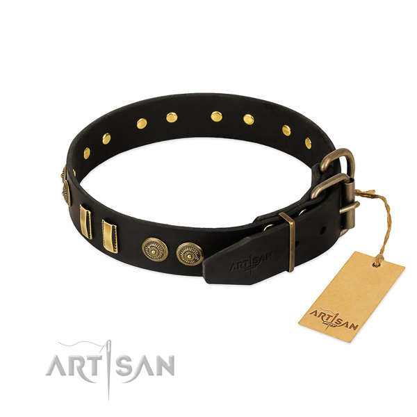 Reliable studs on leather dog collar for your dog