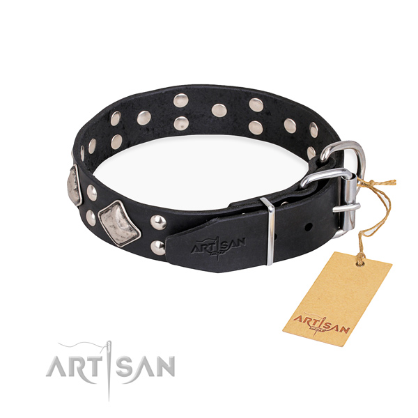 Full grain leather dog collar with unique durable adornments