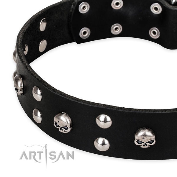 Stylish walking embellished dog collar of fine quality full grain genuine leather