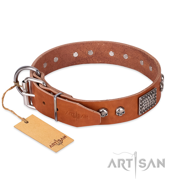 Corrosion resistant buckle on everyday use dog collar