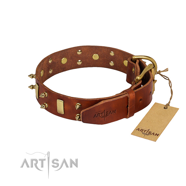 Comfortable wearing embellished dog collar of durable full grain natural leather