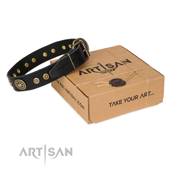 Genuine leather dog collar made of top rate material with rust resistant fittings