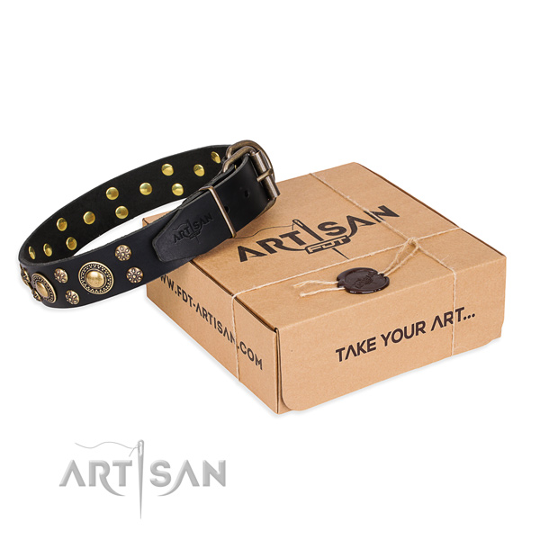 Stylish walking dog collar of strong genuine leather with studs