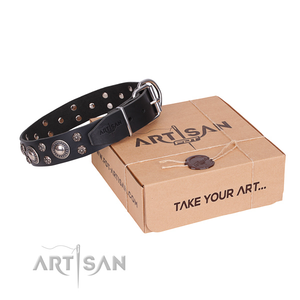 Everyday use dog collar of top notch natural leather with studs